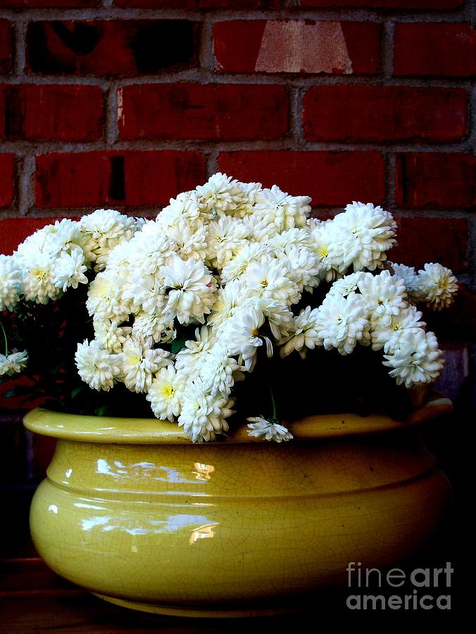 Chrysanthemums in a Yellow Pot Photograph by Tatyana Searcy