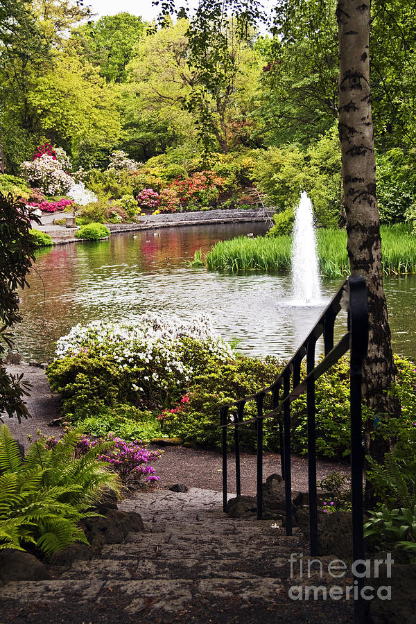 Chrystal Spring Rhododendron Garden  Photograph by Sherry  Curry
