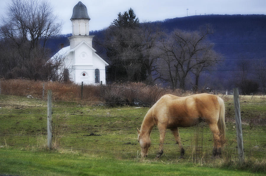 Country Church Photograph - Church of the Pasture by Mary Frances