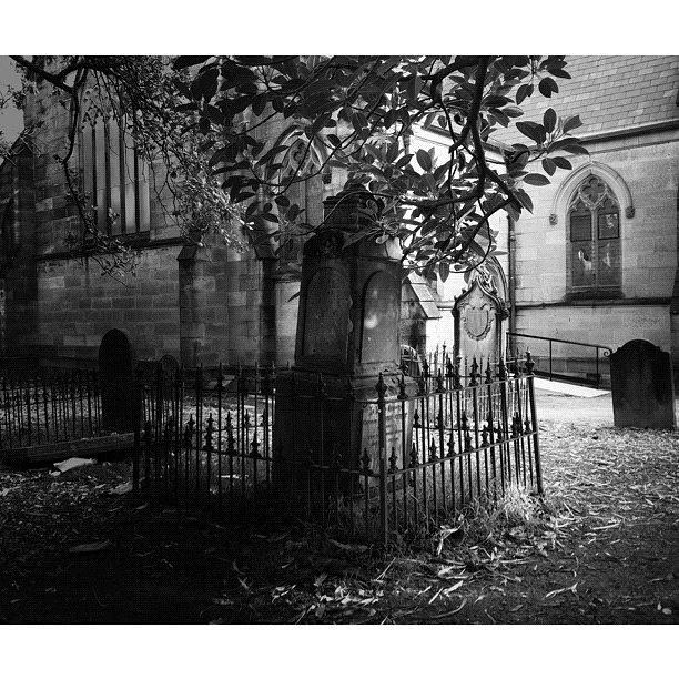Tree Photograph - Churchyard Occupants by Kendall Saint