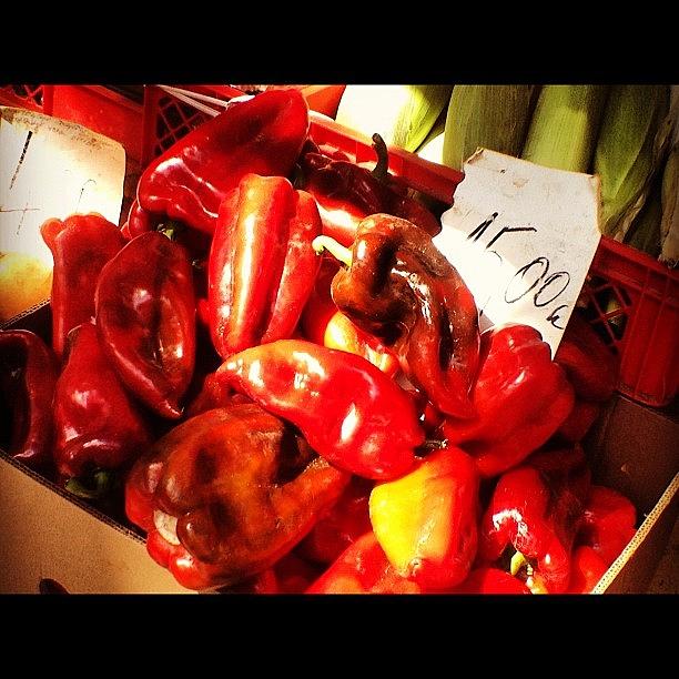 Summer Photograph - @ciara_elle Delicious Peppers In Split by Maeve O Connell