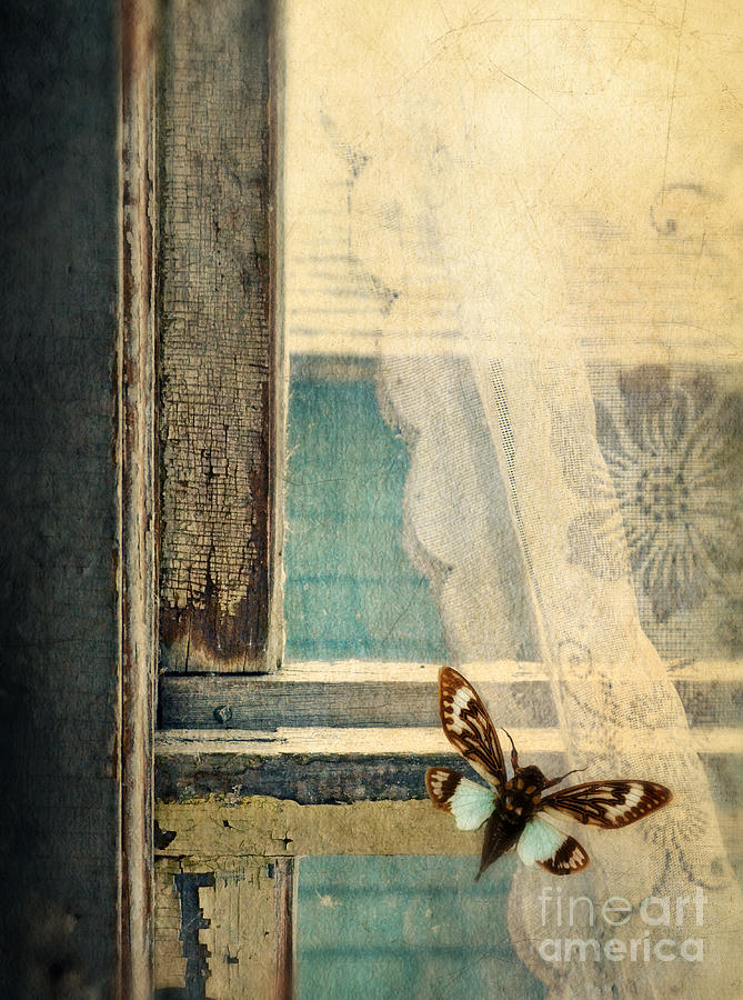 Vintage Photograph - Cicada on Window by Jill Battaglia