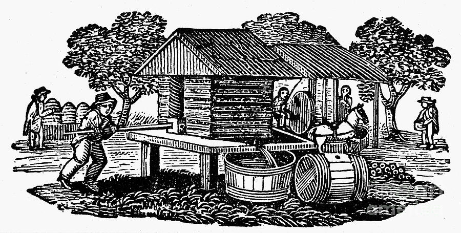 Apple Photograph - CIDER MILL, 19th CENTURY by Granger