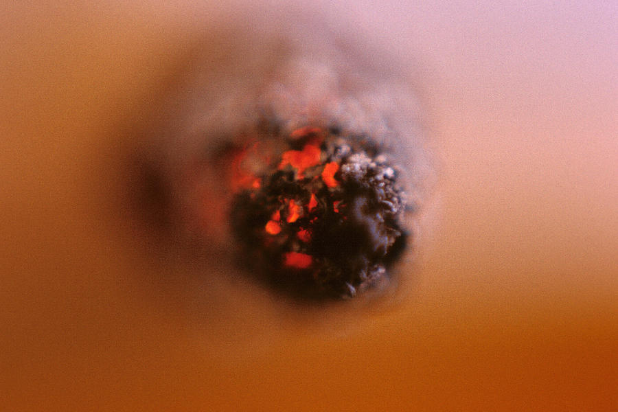 Cigarette Photograph by Dragan Kudjerski