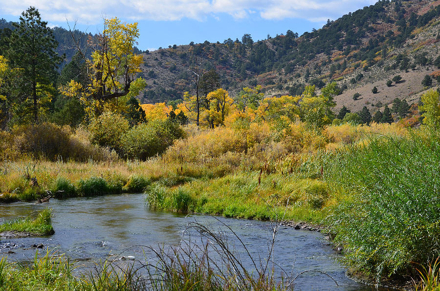 Mountain Photograph - Cimarron River in the Fall by Charles Frieda