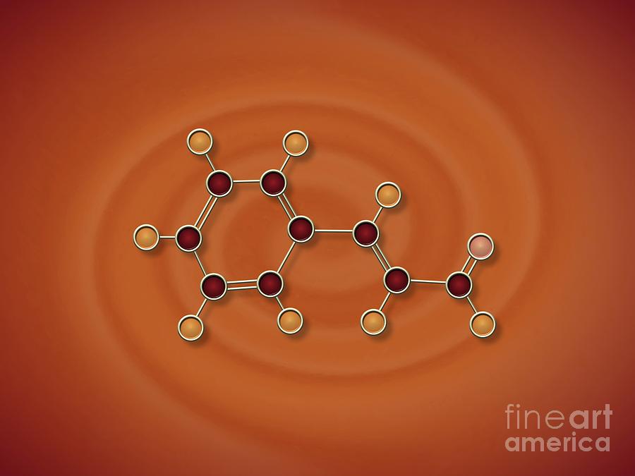 Cinnamon Molecule Painting by Pet Serrano