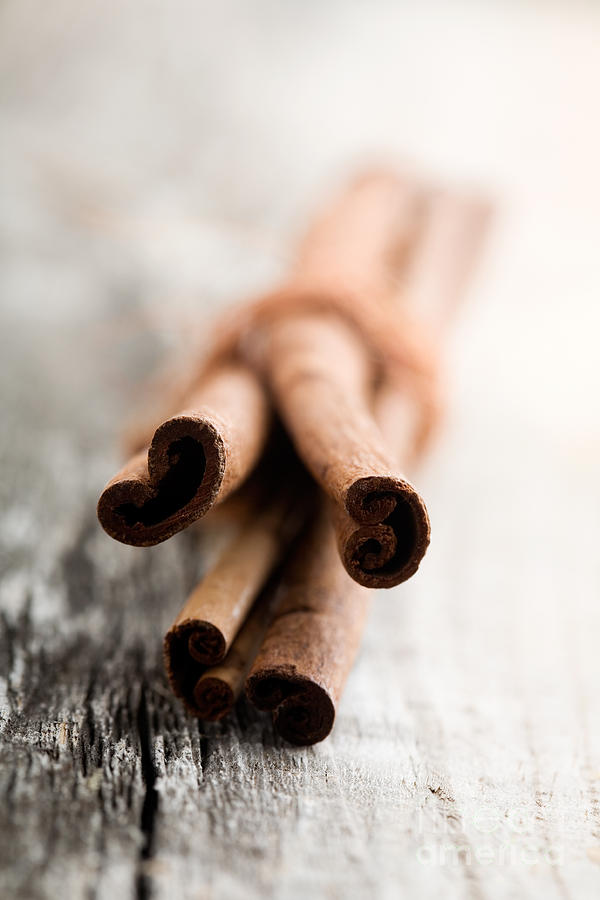 Cinnamon stick Photograph by Kati Finell