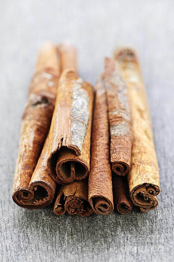Spices 6 - Cinnamon Photograph by Elena Elisseeva