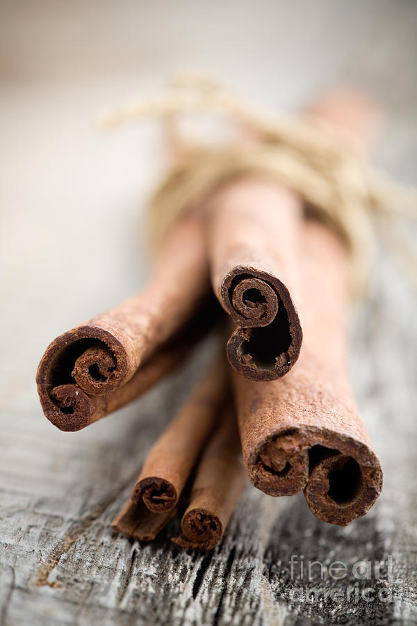 Cinnamon sticks Photograph by Kati Finell
