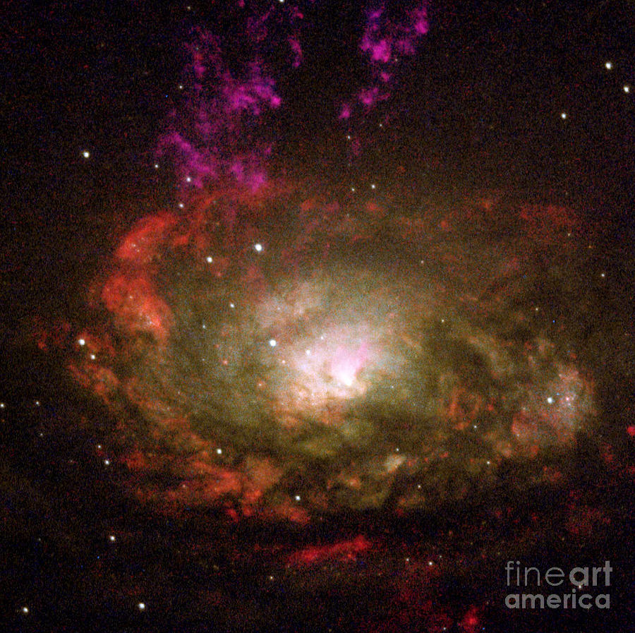 Circinus Galaxy Photograph by Nasa
