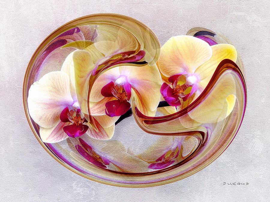 Orchid Photograph - Circle of Life - Yellow Orchids by Celia Durand