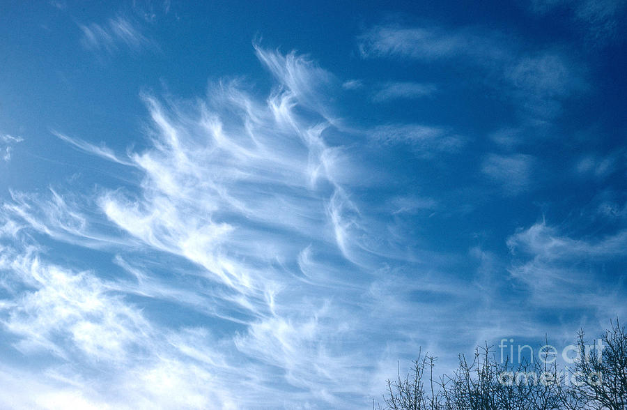 Cirrus Cloud Photograph by Photo Researchers, Inc.