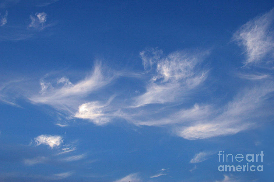 Cirrus Clouds in Formation Photograph by Kenny Bosak - Pixels