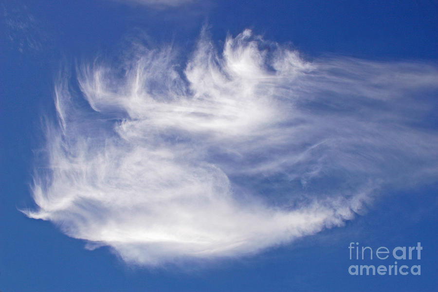 Cirrus Clouds Mares Tail Photograph by Kenny Bosak