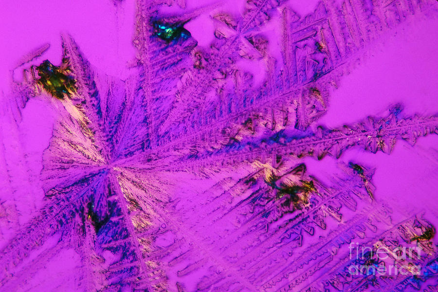 Cisplatin Crystals Photograph by Science Source