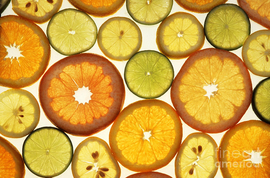 Citrus Slices Photograph by Photo Researchers