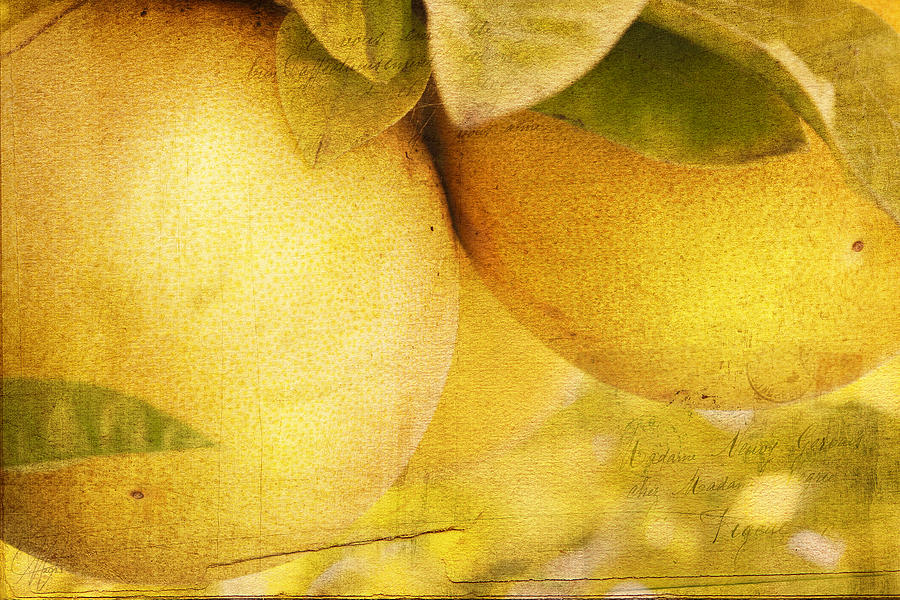Citrus Tang Digital Art by Margaret Hormann Bfa