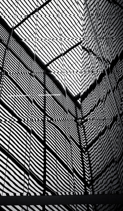 City Grid Photograph by Lenny Carter