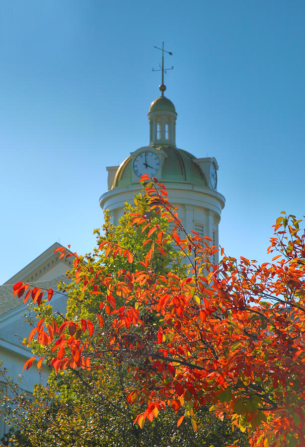 Fall Photograph - City Hall Dome And Tree  by Steven Ainsworth