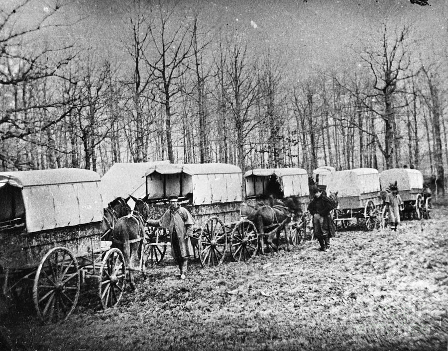 CIVIL WAR: AMBULANCES, c1864 by Granger