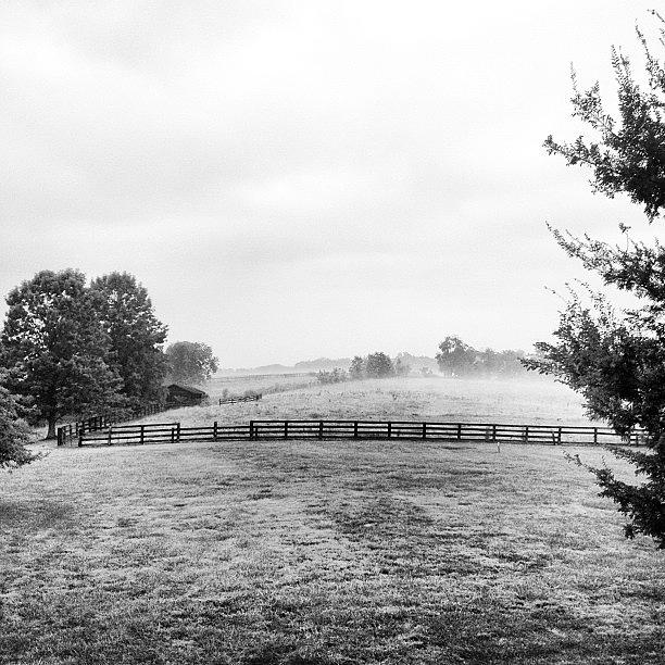 Farm Photograph - Clarity | #farm #field #fog #kentucky by Hunter Graham