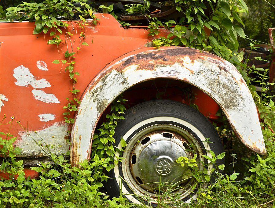 Classic Car Forgotten Photograph by Carolyn Marshall