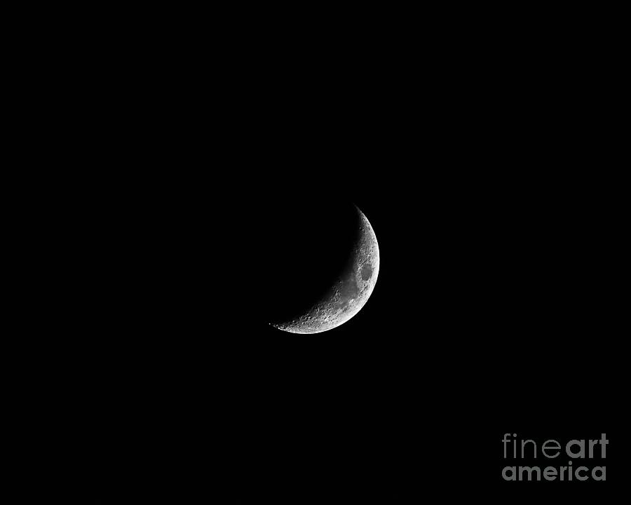 Classic Crescent Photograph by Al Powell Photography USA