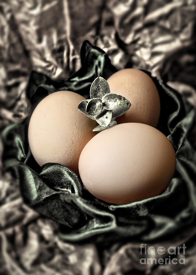 Classy Easter Eggs  Photograph by Danuta Bennett