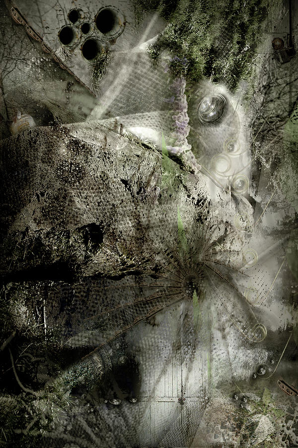 Barn Digital Art - Claum by Dana Vallery Barn Digital Art - Claum by Dana Vallery