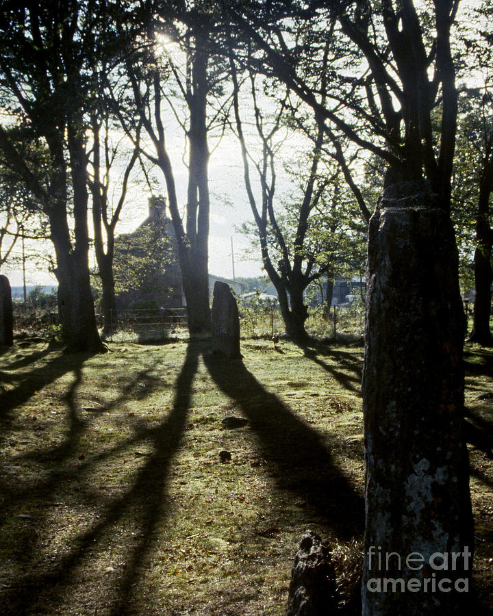 Clava Woods near Inverness Photograph by Pete Klinger