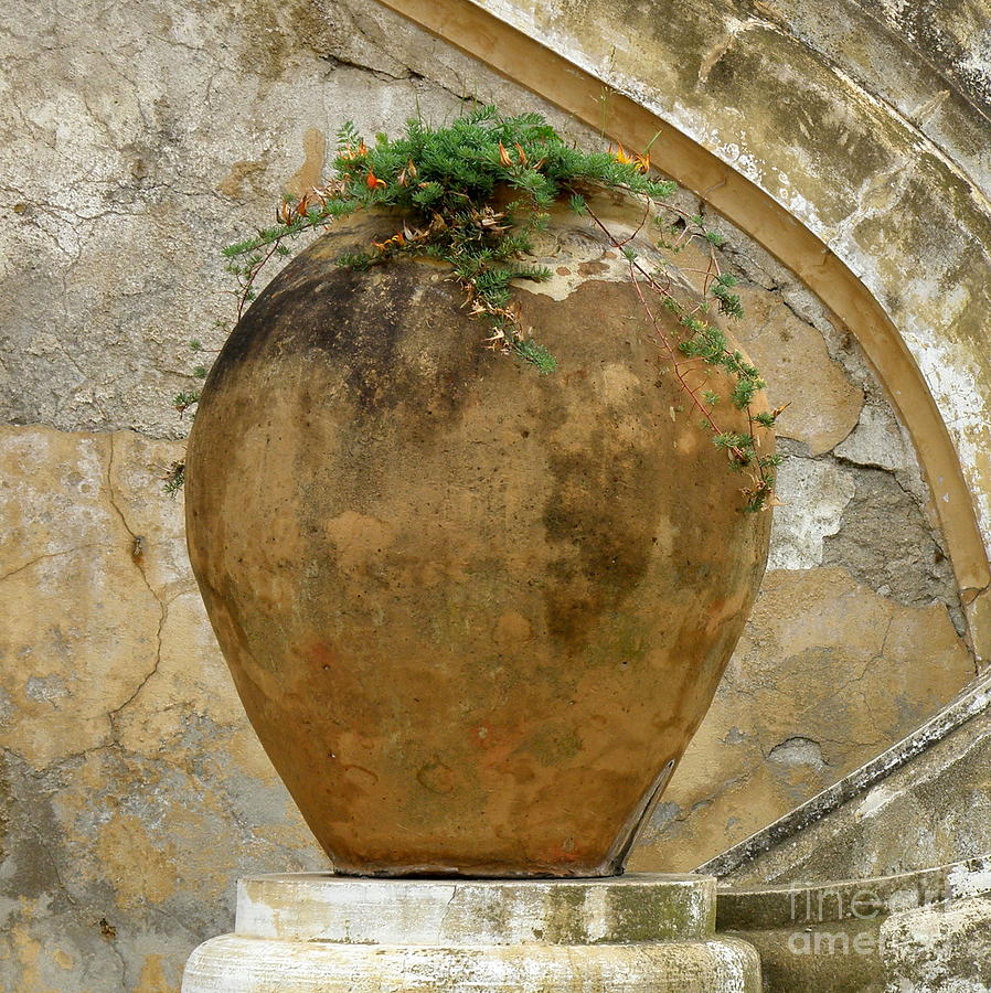 Clay Pot Photograph by Lainie Wrightson