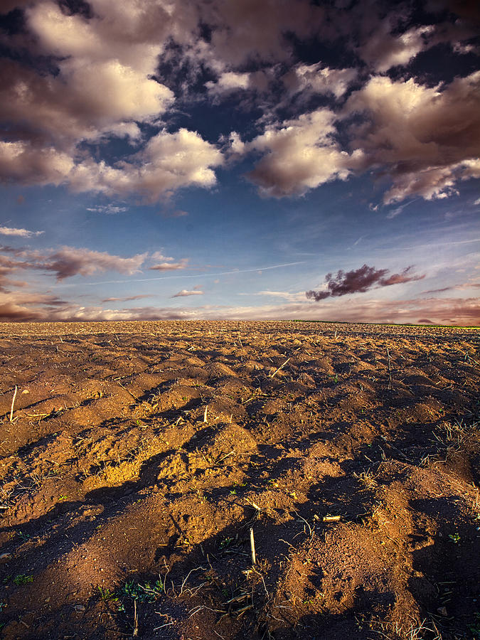 Landscape Photograph - clean Dirt by Phil Koch