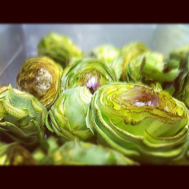 Kc Photograph - Cleaning Some Artichokes by Carlos Mortera