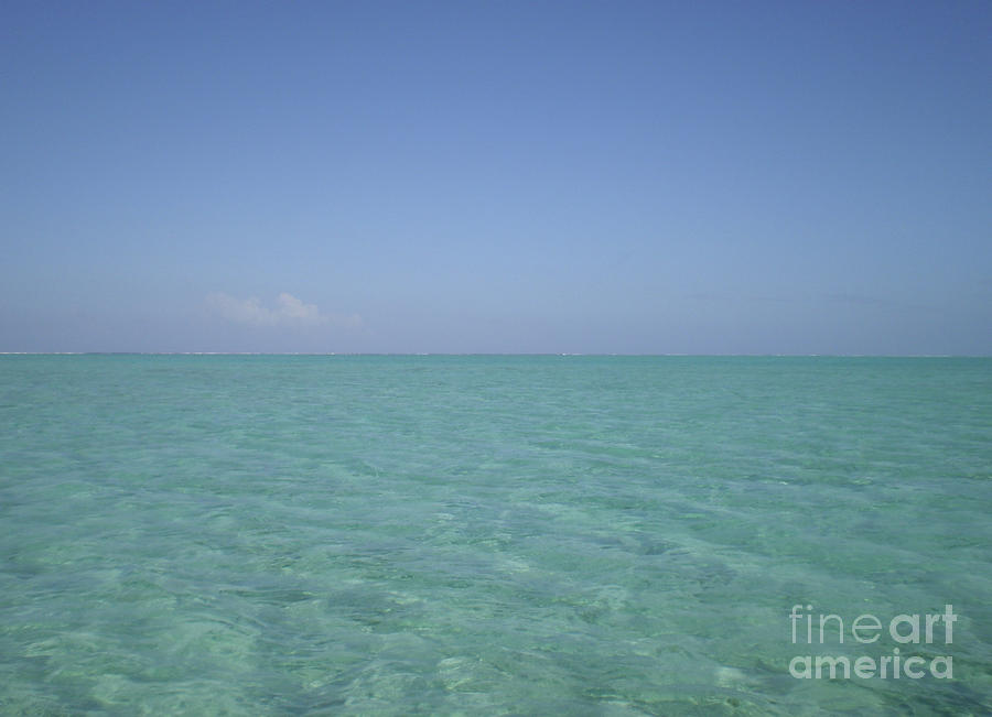 https://images.fineartamerica.com/images-medium-large/clear-blue-water-v-crystal-clear-sky-paul-jessop.jpg