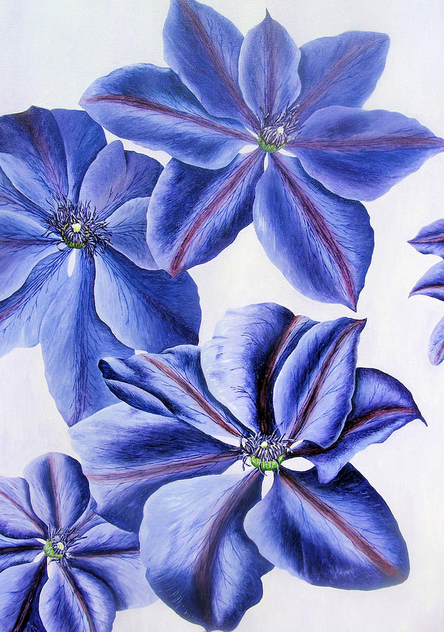 Flower Painting - Clematis on a pale background by John Davies