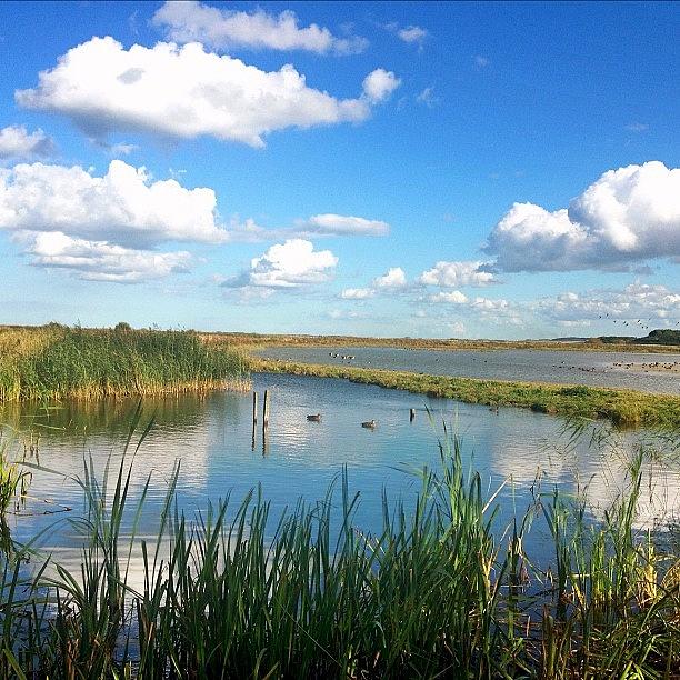 Landscape Photograph - Cley Marshes #iphoneography #landscape by Dave Lee