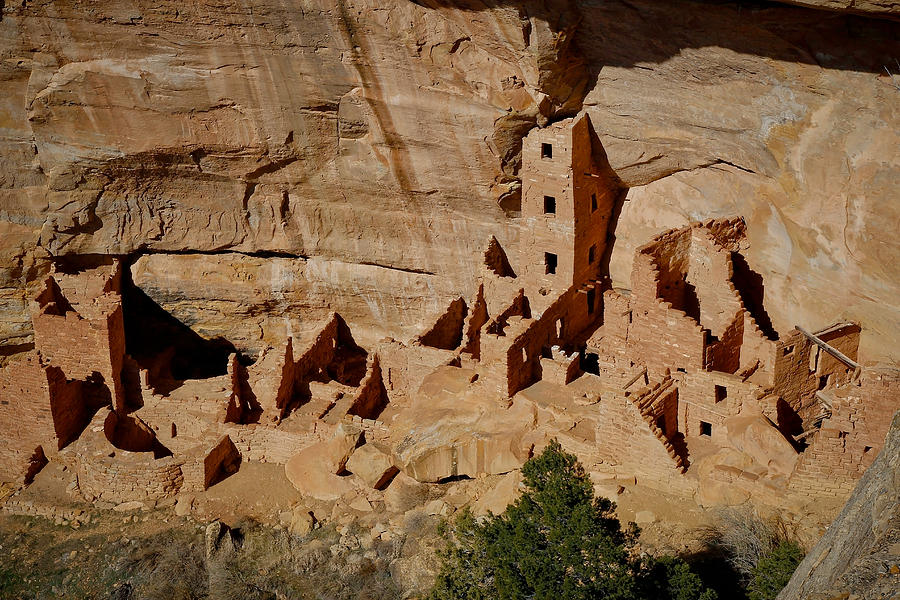 Cliff Dwellings Photograph by Steve McKinzie
