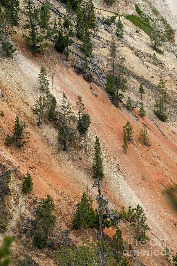 Yellowstone National Park Photograph - Cliff Side Grand Canyon Colors Vertical by Living Color Photography Lorraine Lynch
