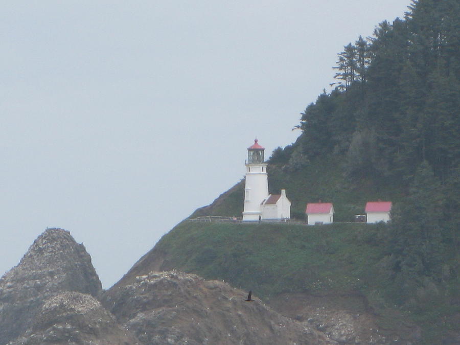 Cliff Side Light House Photograph by Kathy Long