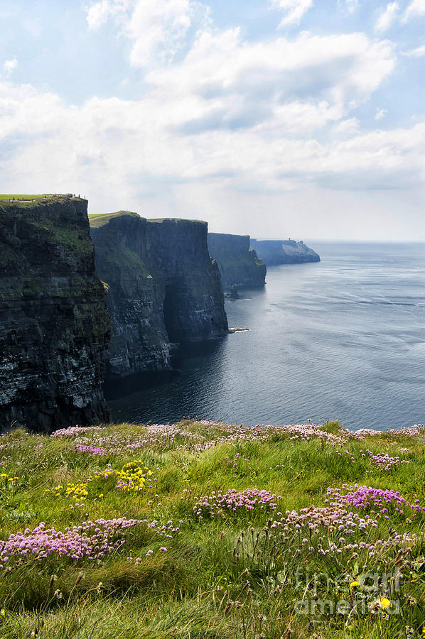 Nature Photograph - Cliffs Of Moher In Spring by Cheryl Davis
