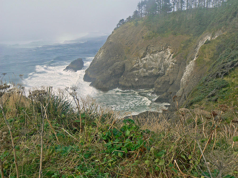 Cliffs Of Ilwaco Photograph by Pamela Patch