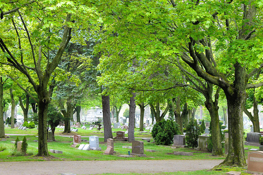 Tree Photograph - Clinton  Grove Cemetery by Rebecca Frank