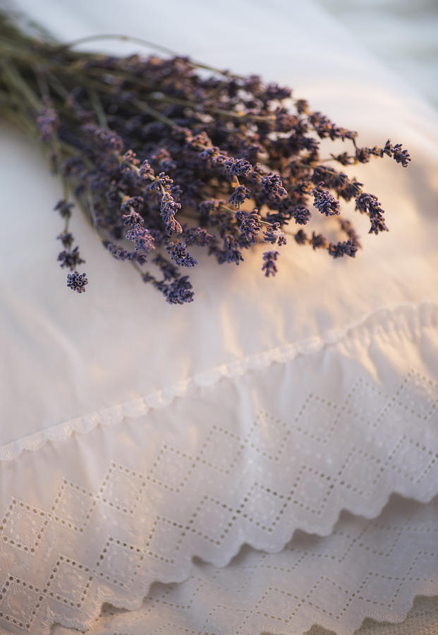 Close Up Of Lavender Bundle Lying On Embroidered Pillow Photograph by Daniel Grill