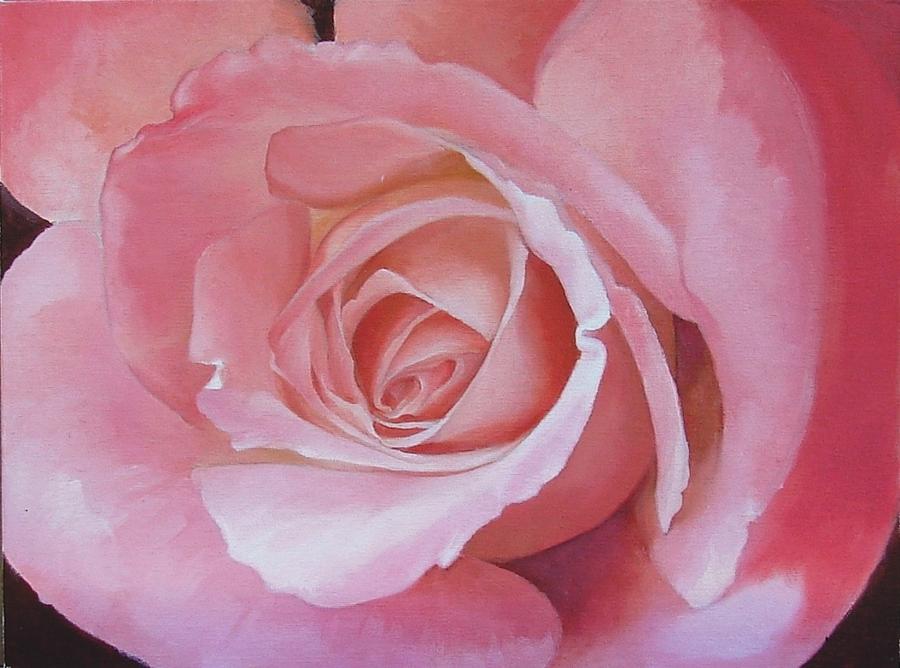 Rose Painting - Close up painting of pink rose by Alena Nikifarava