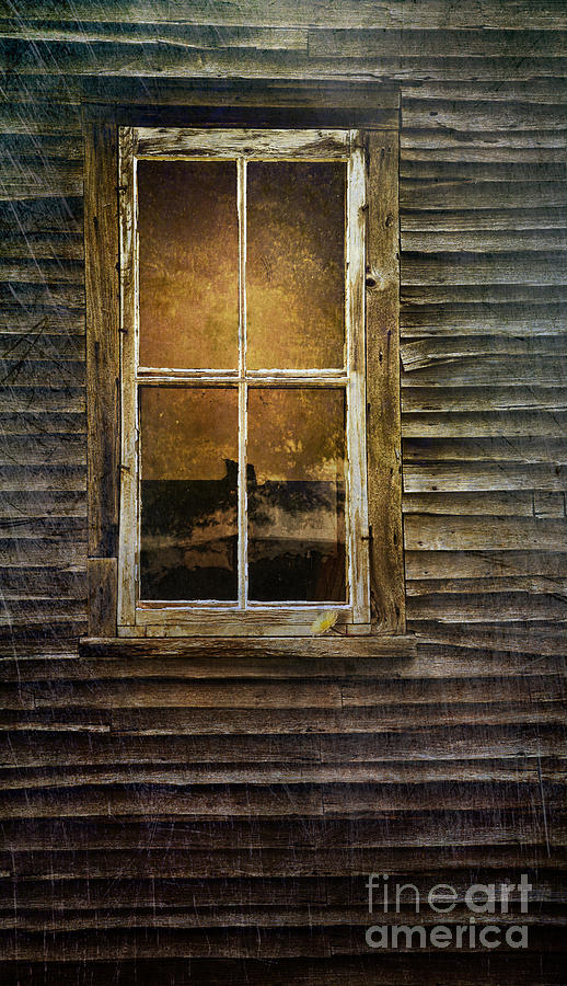 Misery Movie Photograph - Closeup of window in an abandoned old house by Sandra Cunningham