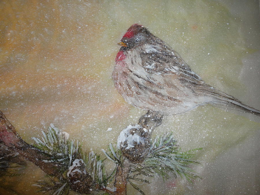 Closeup Red Polls In A Winter Snowstorm Painting by Debbi Saccomanno Chan