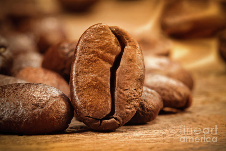 Coffee Photograph - Closeup shot of a coffee bean on wood by Sandra Cunningham