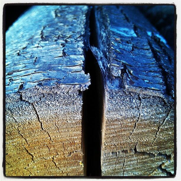 Pattern Photograph - #closeups #patterns #wood by Marino Todesco