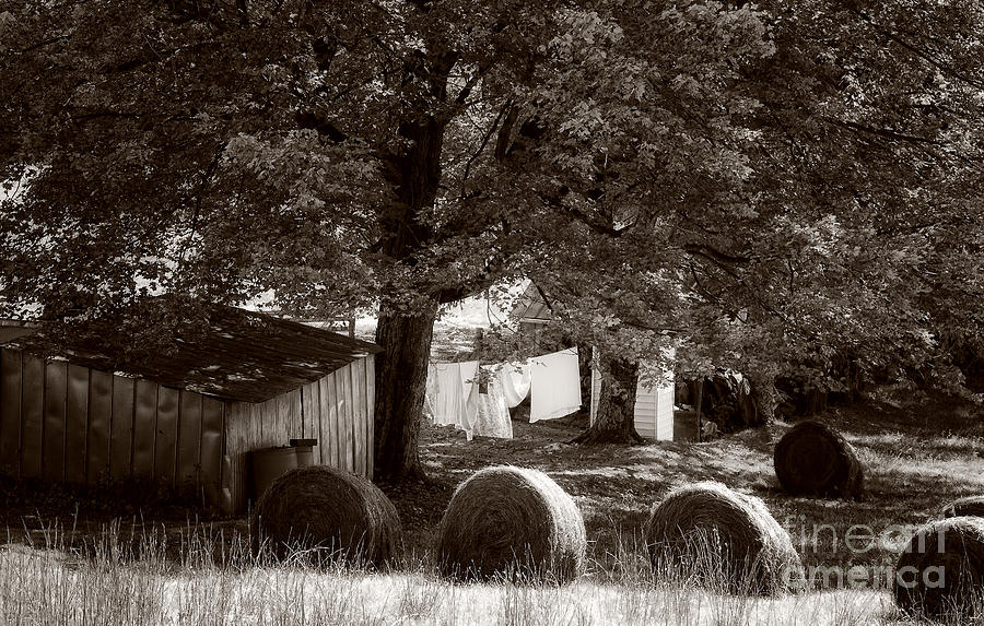 Clothesline and Bales- monochrome Photograph by Kathleen K Parker