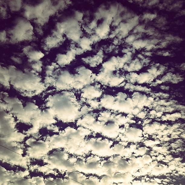 Cloud Blanket Photograph by Meredith Leah